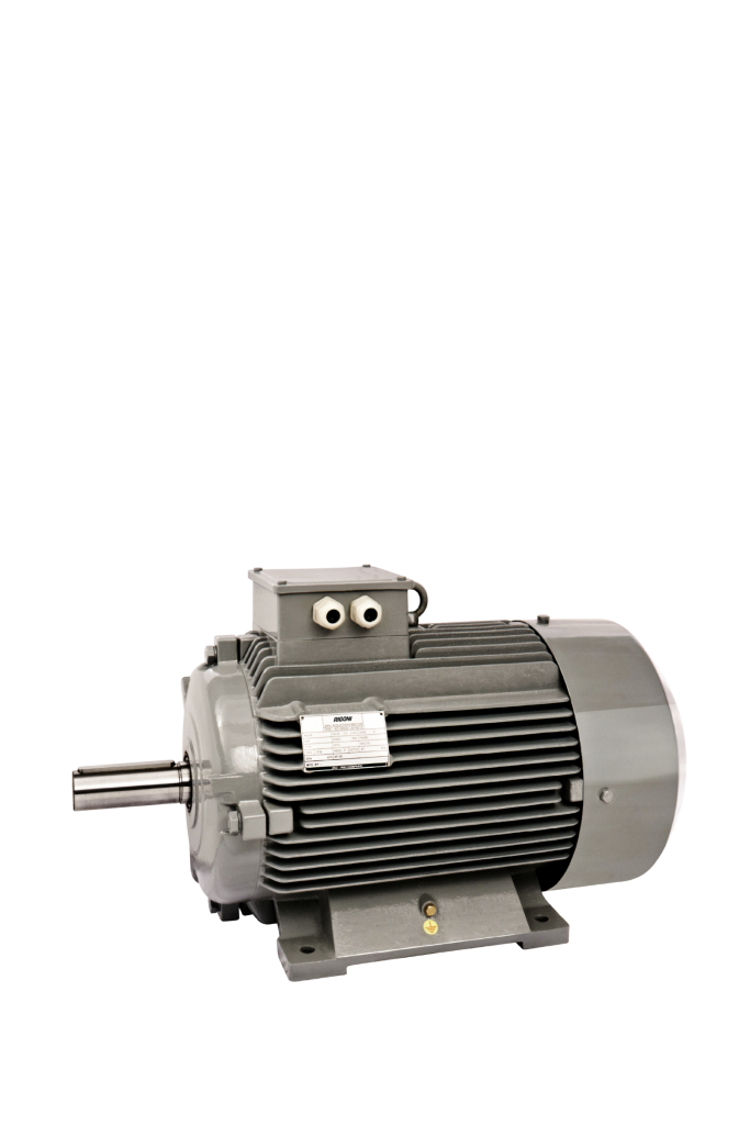 Three Phase Induction Motor